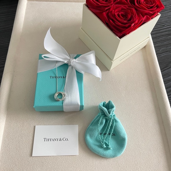 Tiffany & Co. Interlocking Circles Pendant in Sterling Silver 16” NEW $625 - Picture 14 of 17